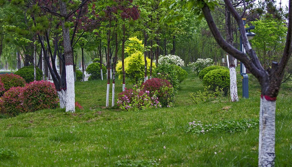 DSC_3674.jpg