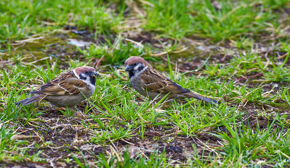 DSC_3751.jpg