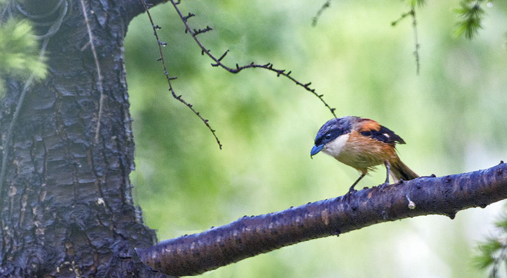 DSC_3811.jpg