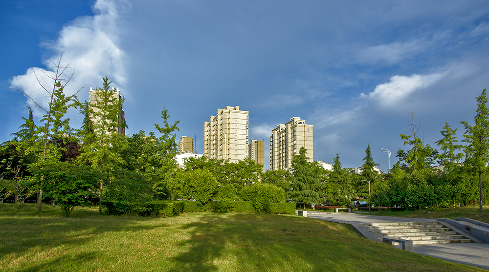 DSC_5732.jpg
