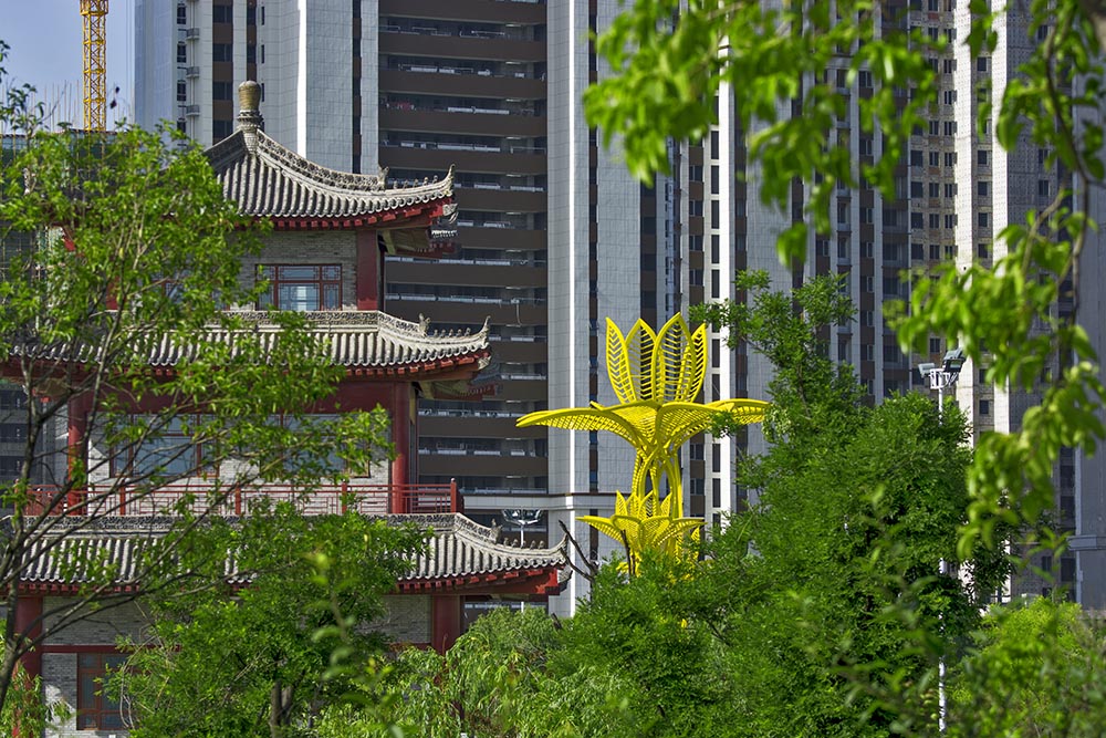 DSC_6132.jpg