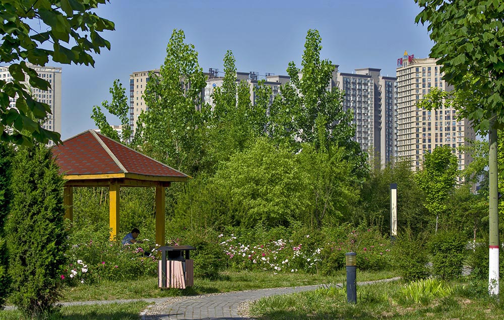 DSC_6143.jpg