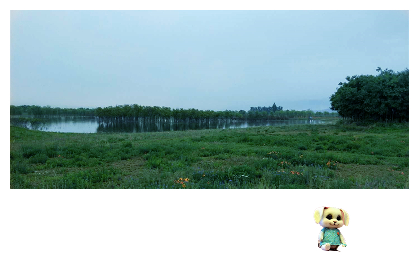 185939wty1y7g9j8chtkj8.jpg