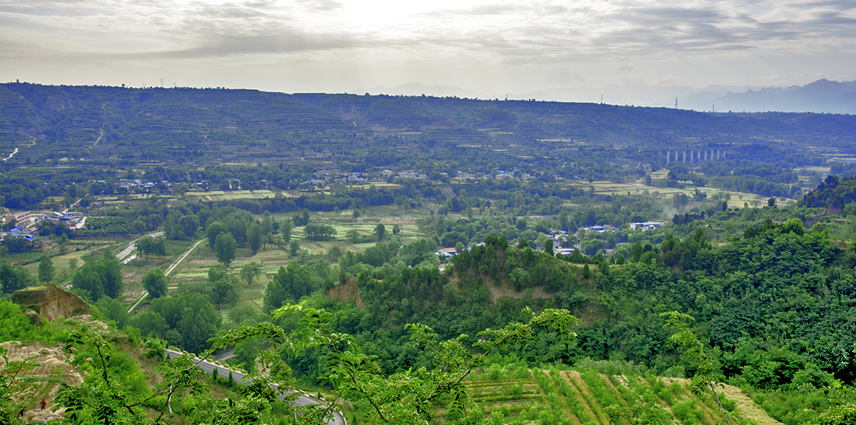 DSC_6320.jpg
