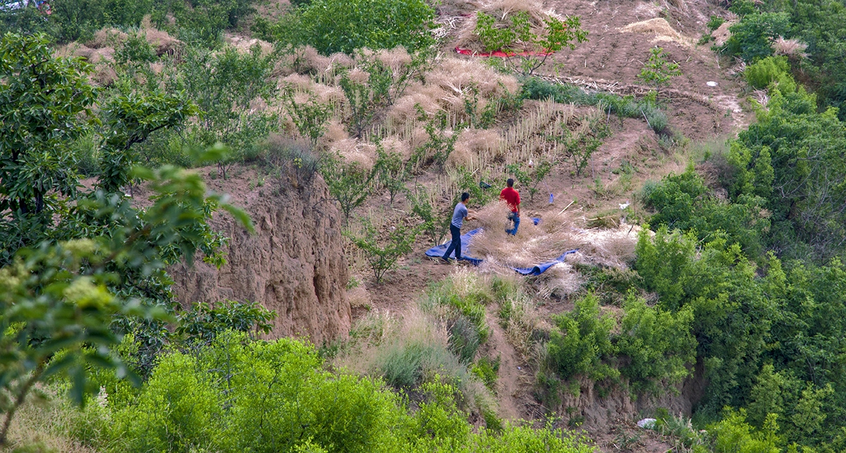 DSC_6325.jpg