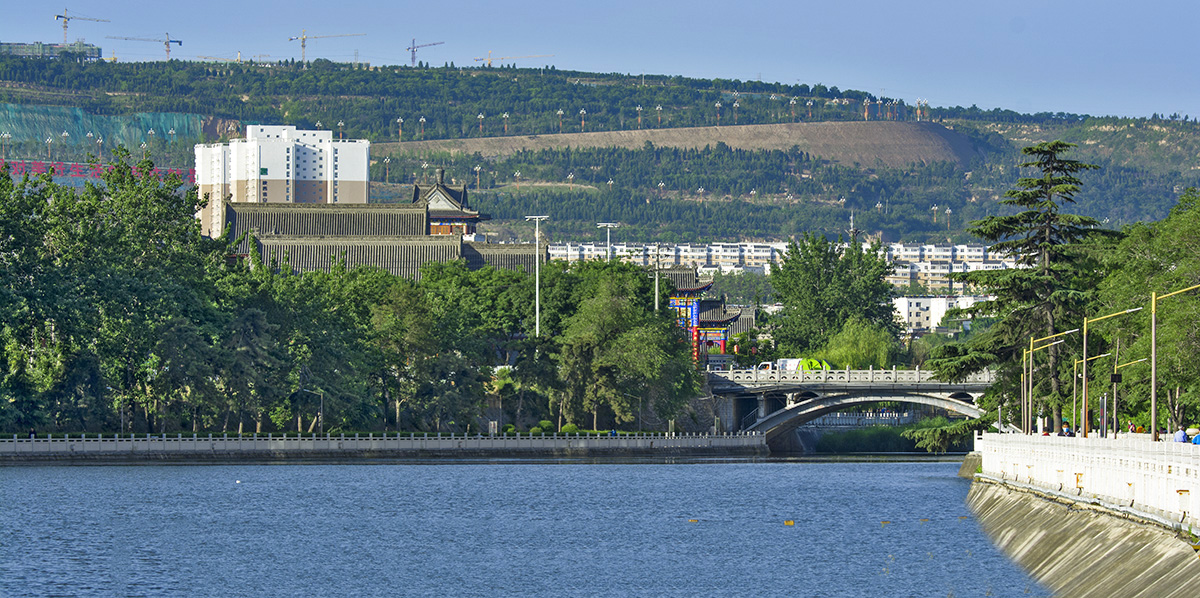 DSC_6335.jpg