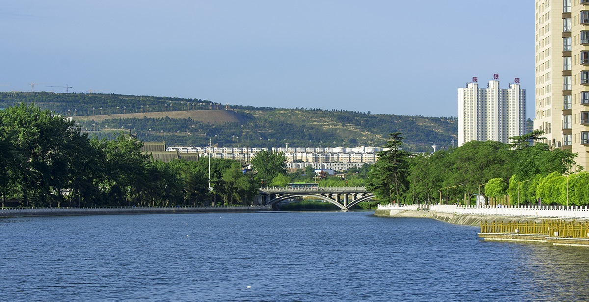 DSC_6330.jpg
