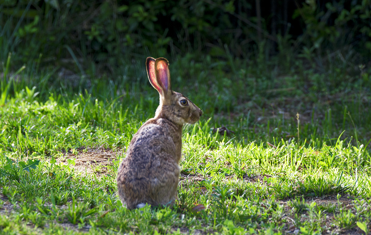 DSC_6360.jpg