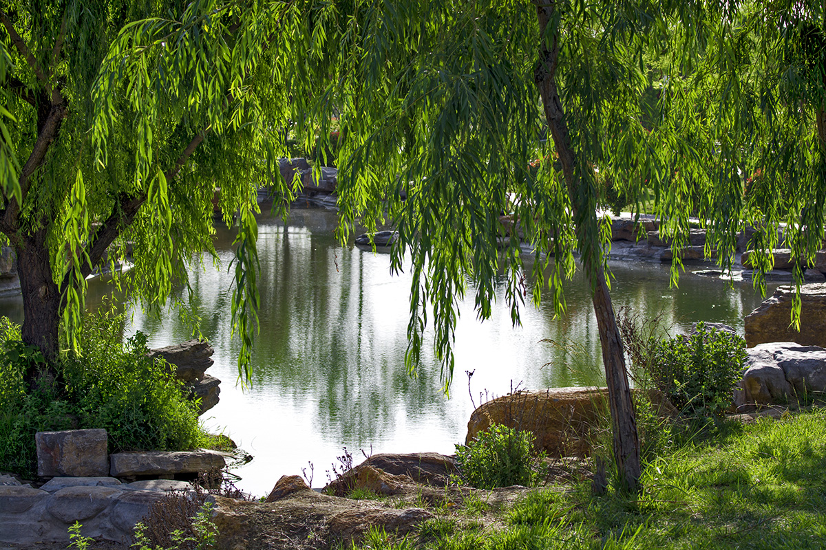DSC_6371.jpg