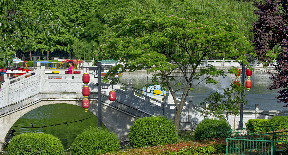 DSC_6417.jpg