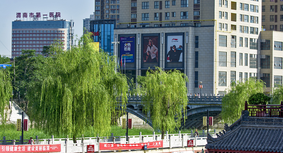 DSC_6415.jpg