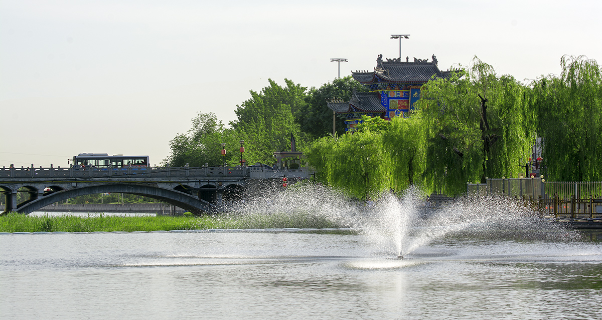 DSC_6558.jpg