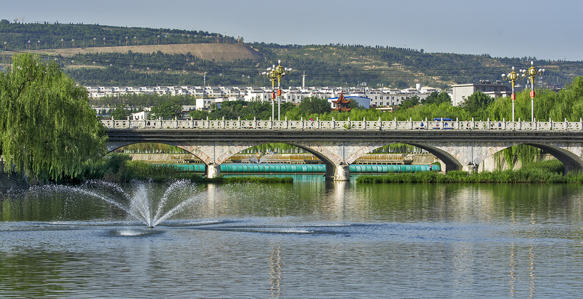 DSC_6560.jpg