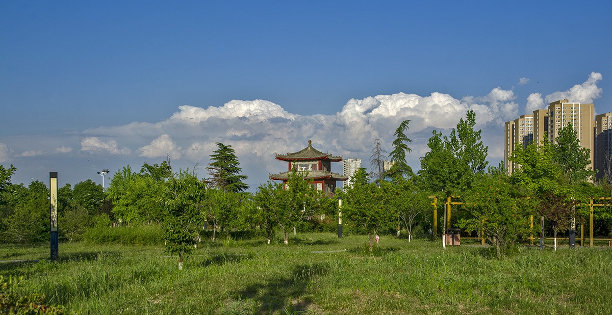 DSC_6630.jpg