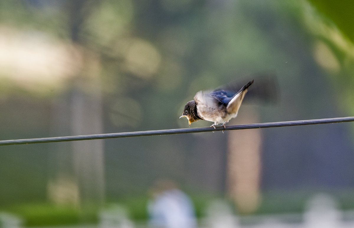DSC_6793.jpg