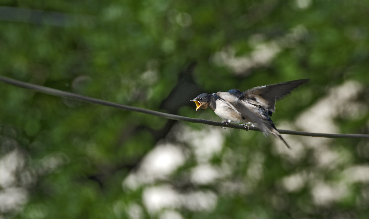 DSC_6897.jpg