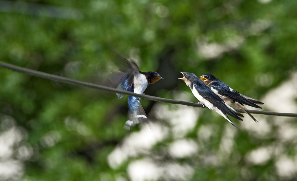 DSC_6898.jpg