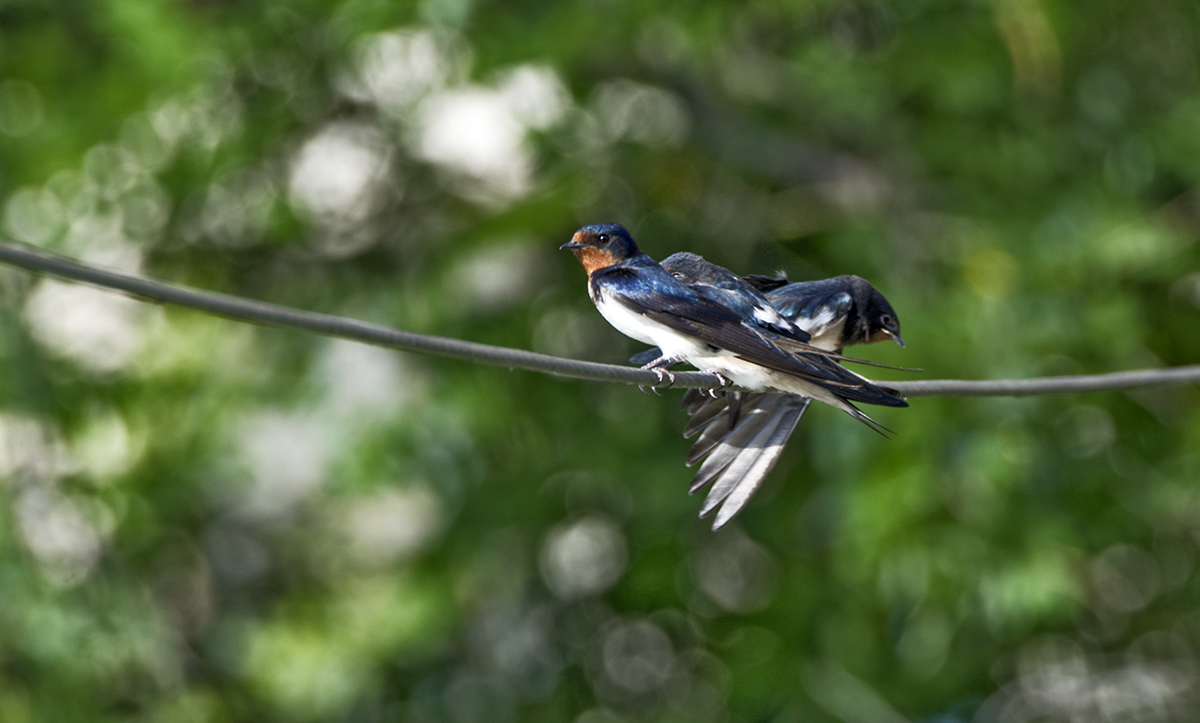 DSC_6913.jpg