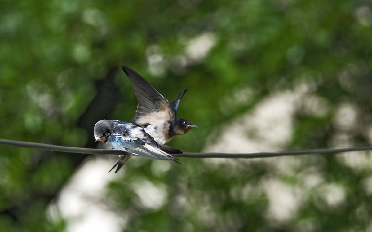 DSC_6927.jpg