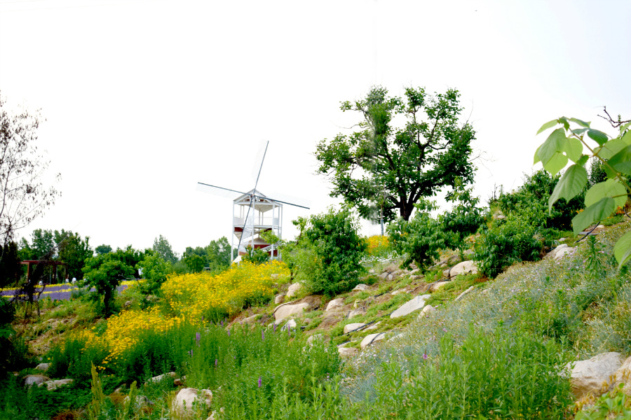 DSC_6567.jpg