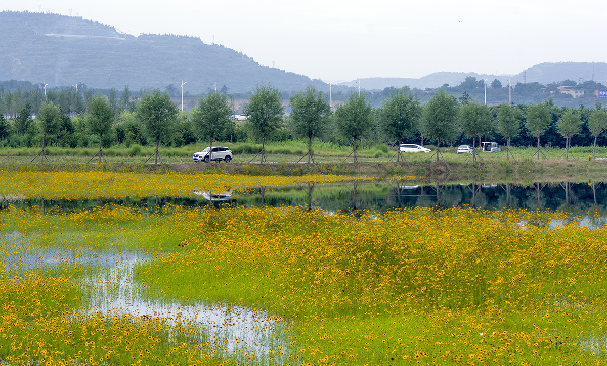 DSC_7273.jpg