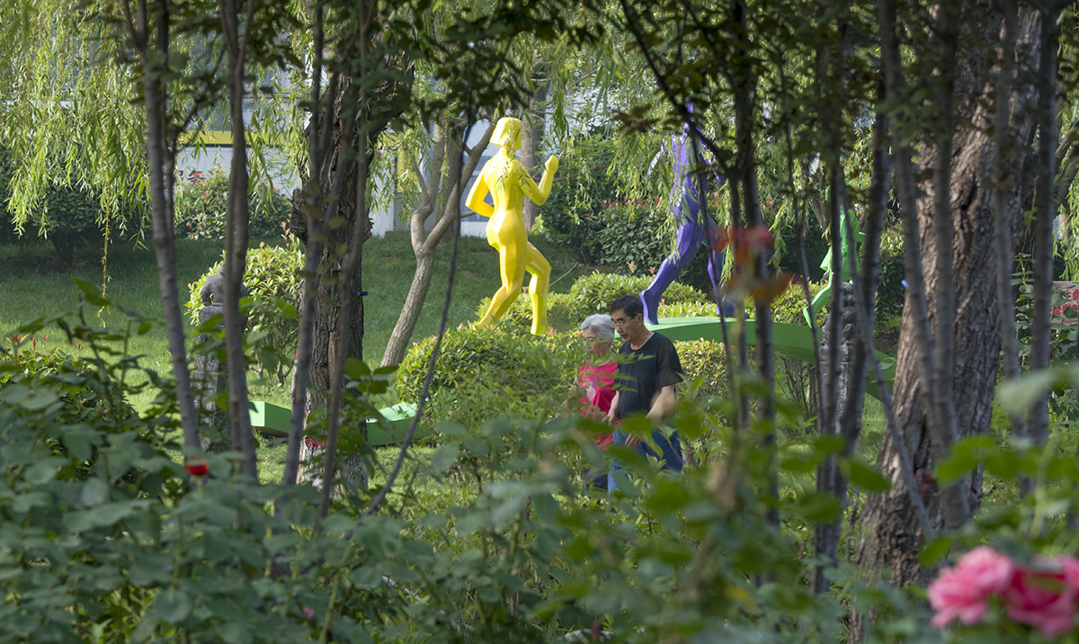 DSC_7342.jpg