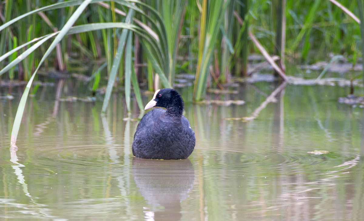 DSC_7614.jpg
