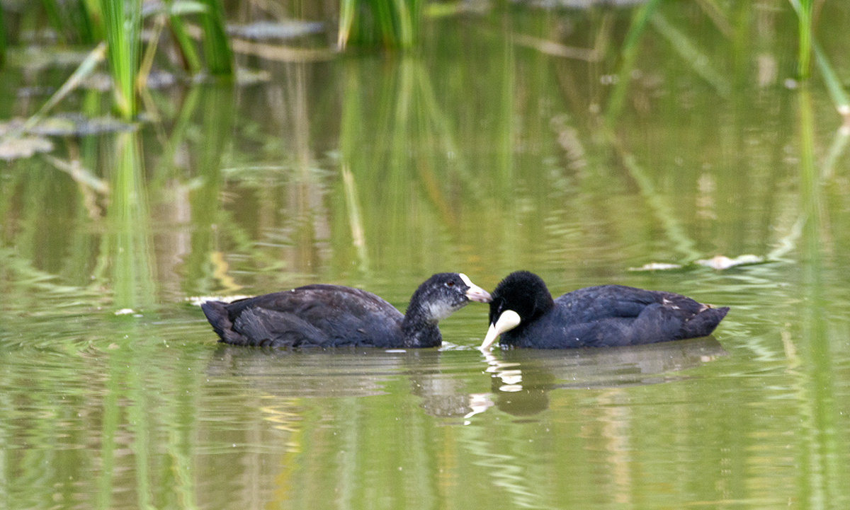 DSC_7655.jpg