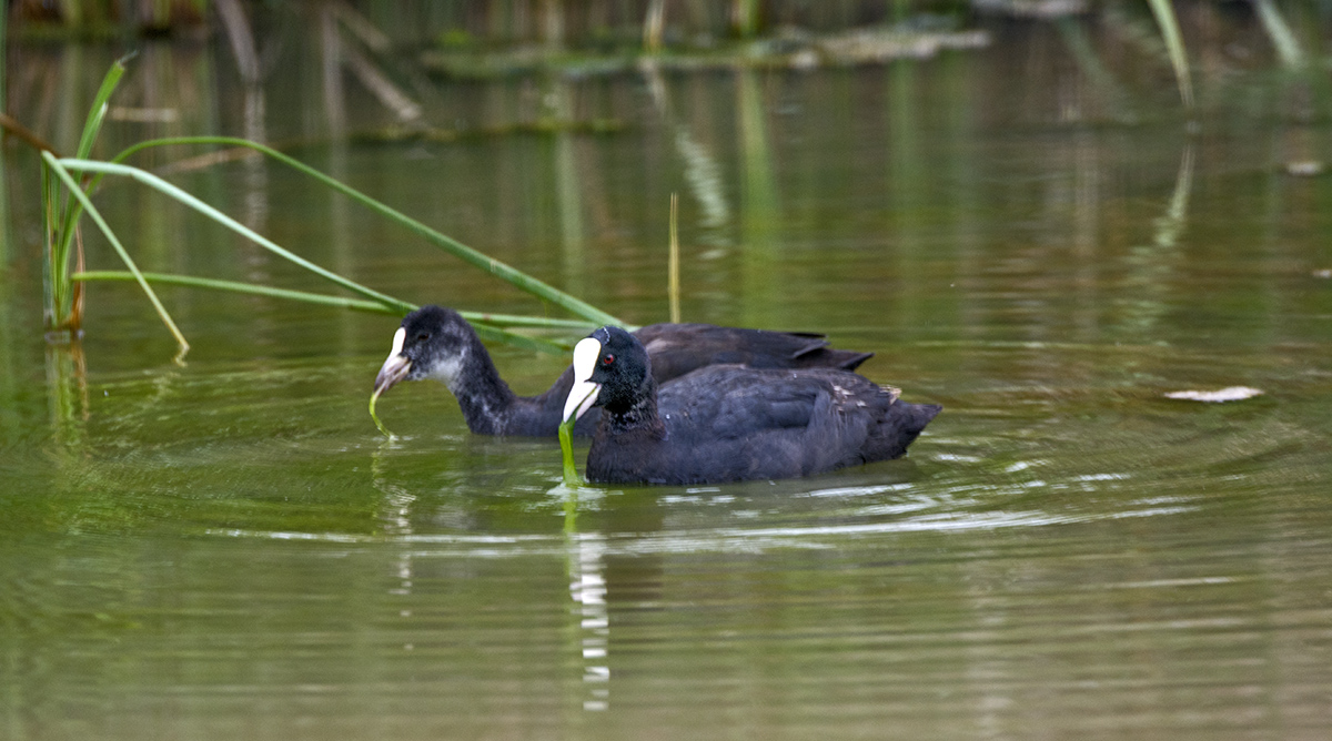 DSC_7661.jpg