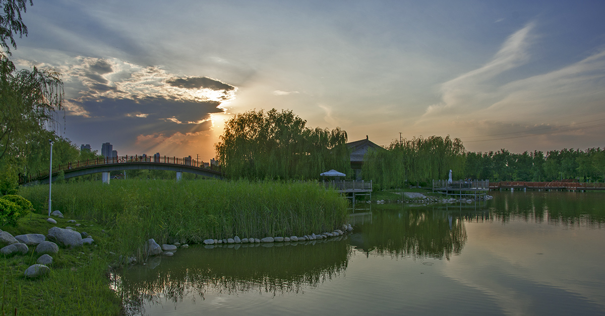 DSC_7809.jpg