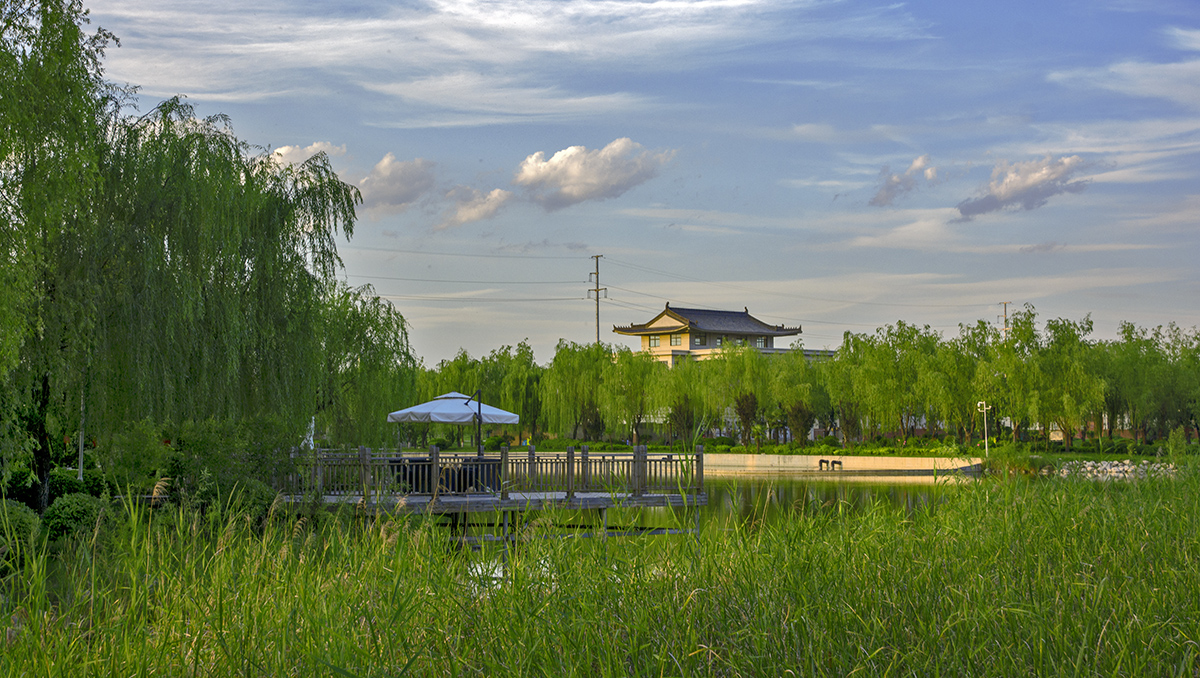 DSC_7832.jpg
