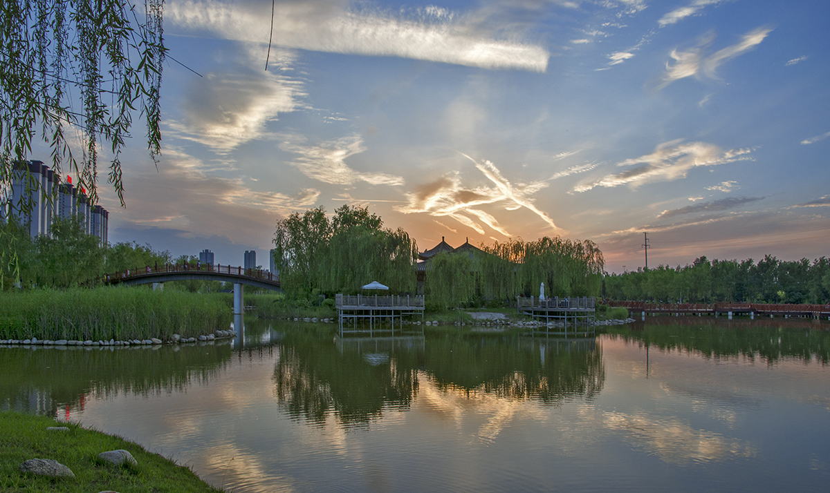 DSC_7869.jpg
