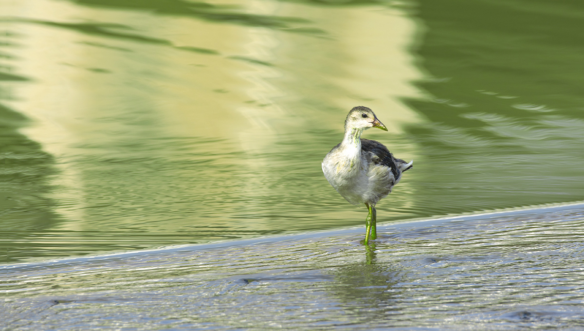 DSC_8159.jpg