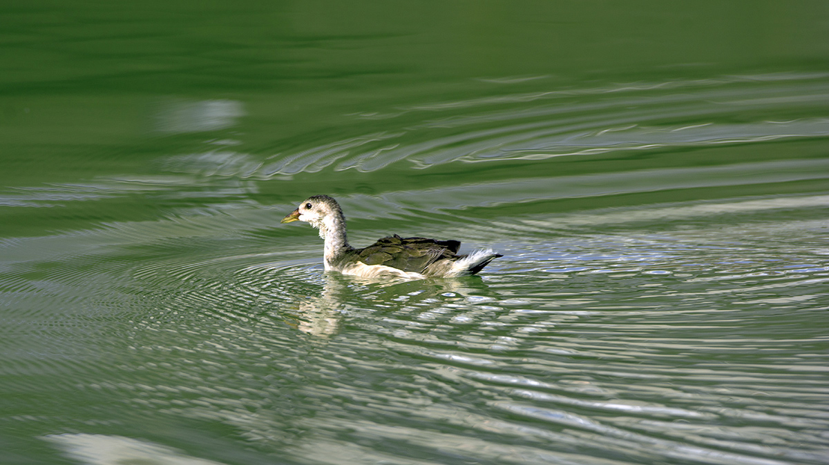 DSC_8162.jpg