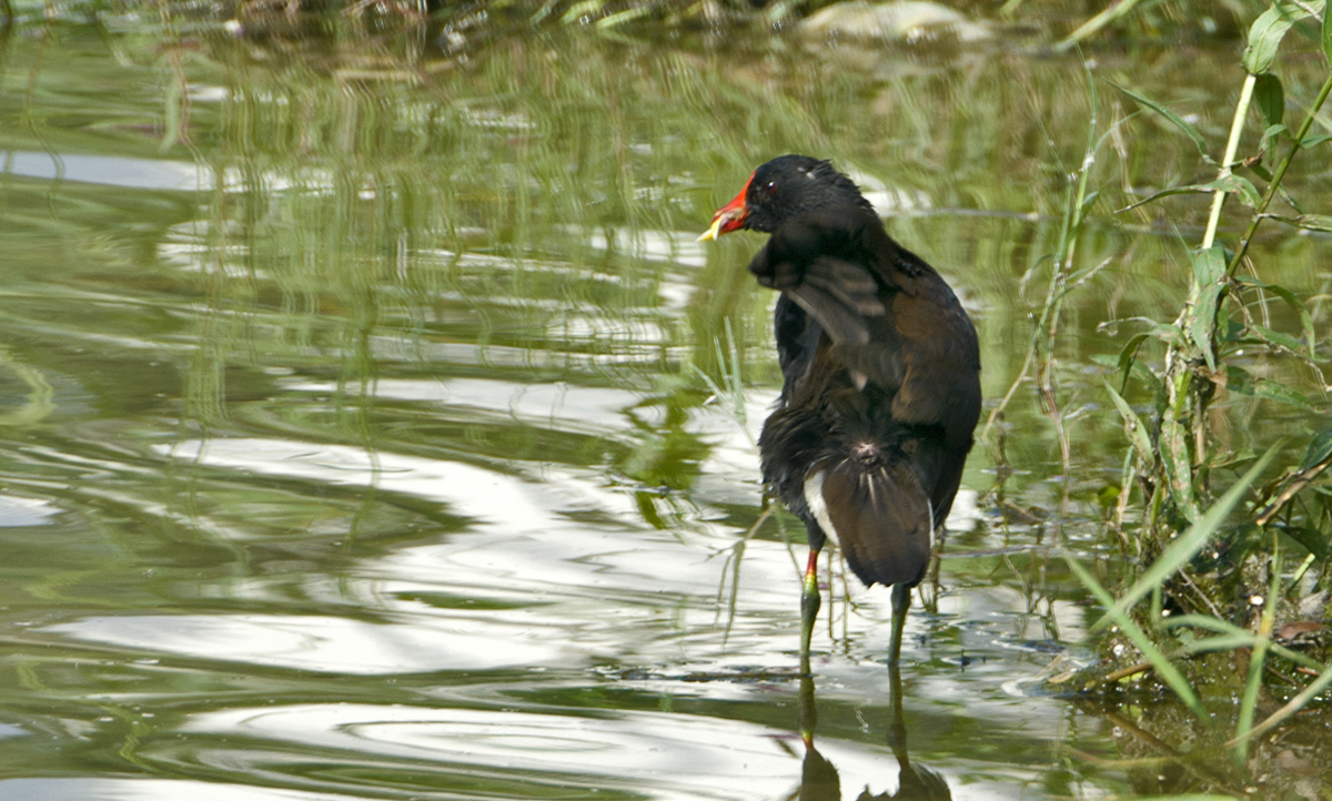 DSC_8256.jpg