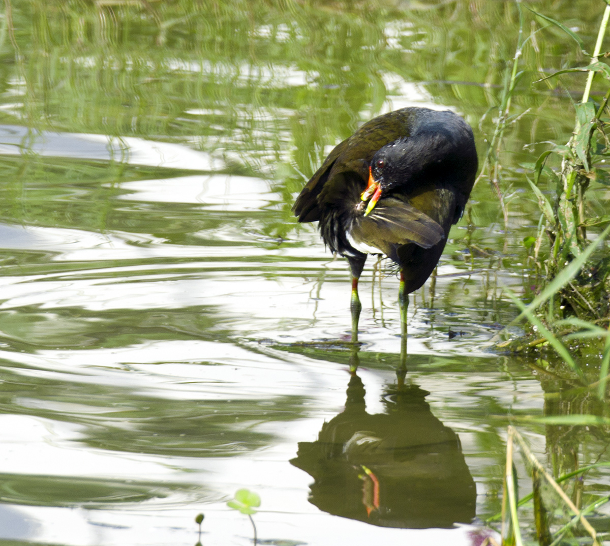 DSC_8255.jpg