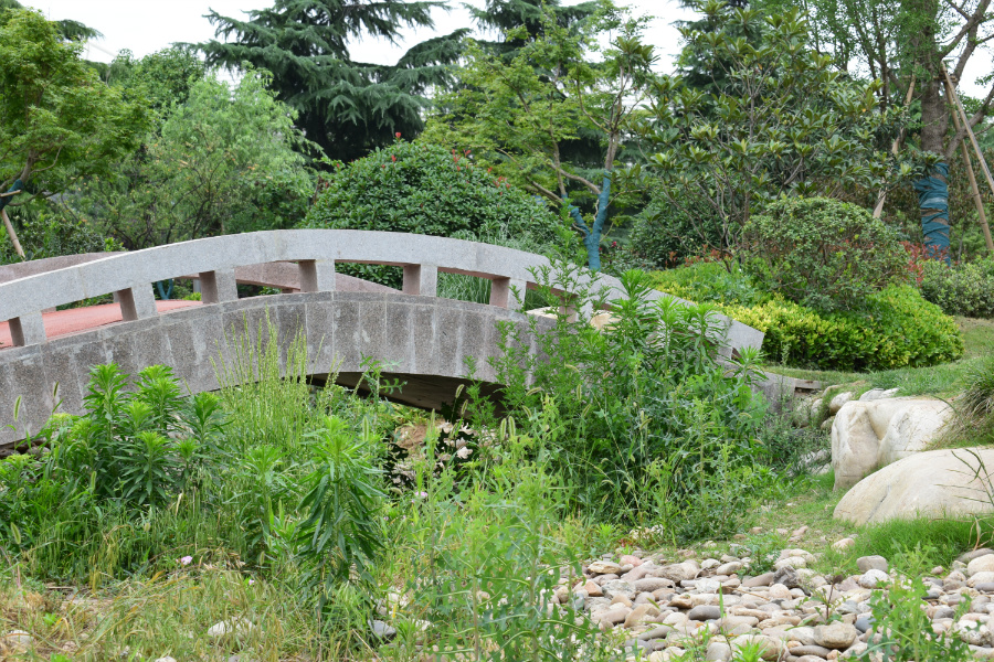 DSC_4525.jpg