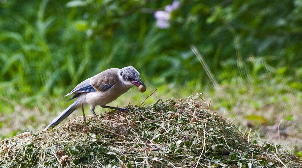 DSC_8413.jpg