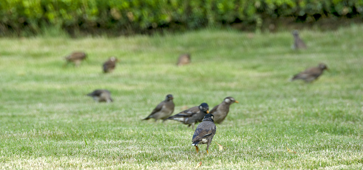 DSC_8594.jpg