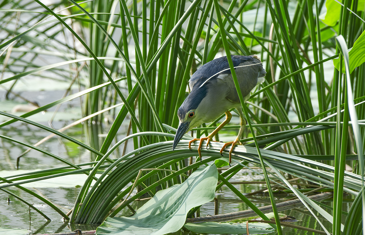 DSC_8637.jpg