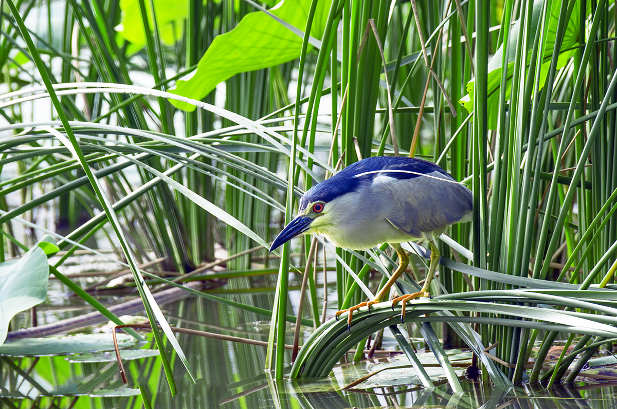 DSC_8685.jpg