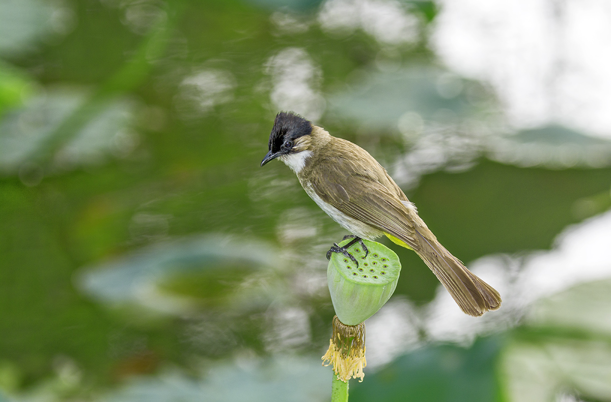 DSC_8688.jpg