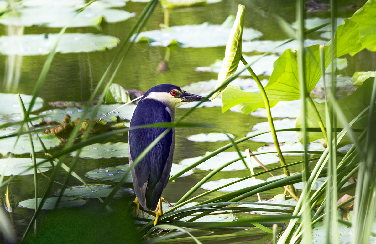 DSC_8773.jpg