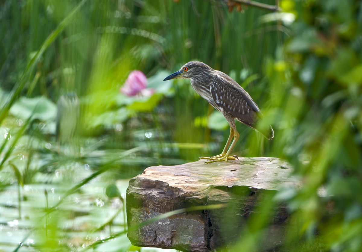 DSC_8880.jpg
