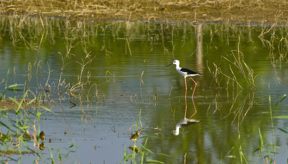 DSC_8936.jpg