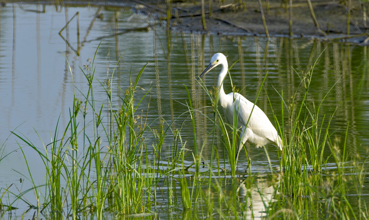 DSC_8964.jpg