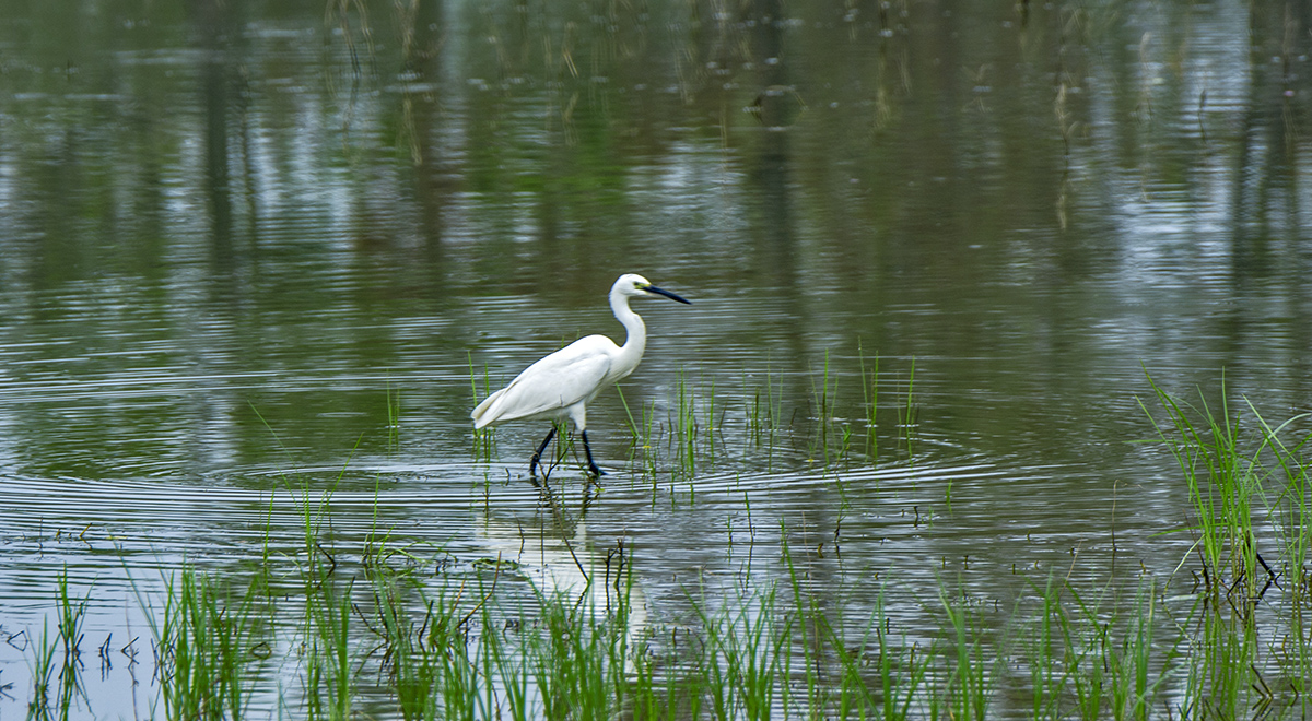 DSC_9173.jpg