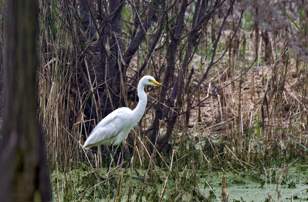 DSC_9183.jpg