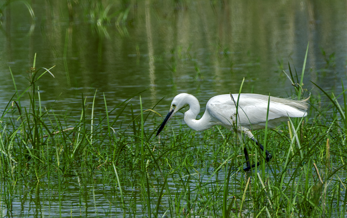 DSC_9292.jpg