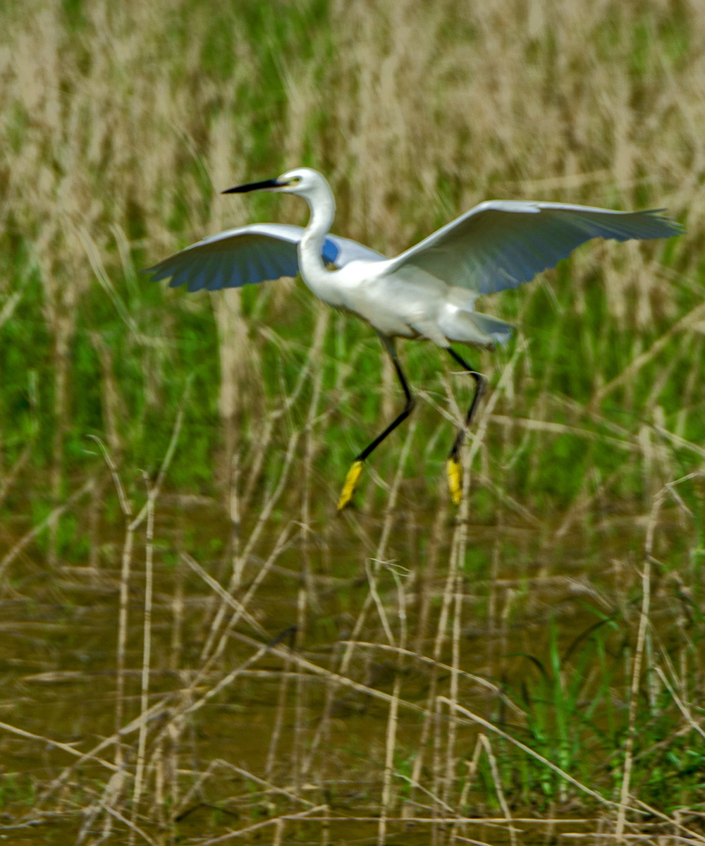 DSC_9316.jpg